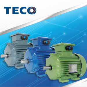 TECO - DINAMO ELECTRO MOTOR 1HP / 0.75 KW 3000 RPM 2POLE B3